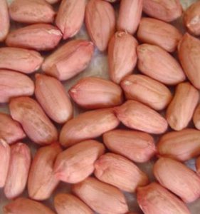peanut-kernels-long