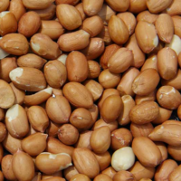 brazil-peanut