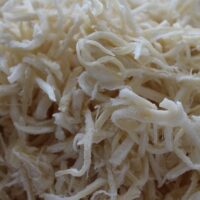 Dried-Shredded-Squid-short-size[1]