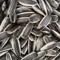 sunflower-seeds-363-china