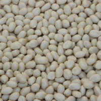 brazil=peanuts