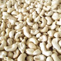 cashew-nut-vietnam