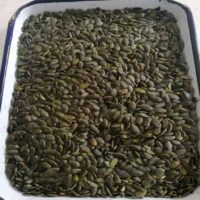 GWS-Pumpkin-Kernel-China