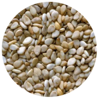 natural-sesame-seeds[3]