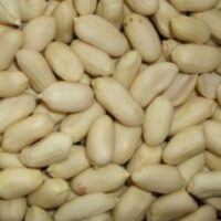 peanut-blanched-long-239×300