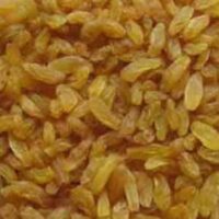 raisin-malayar