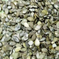 Snow-White-Pumpkin-Kernel-China