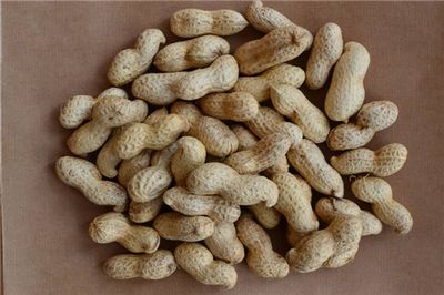 Арахис в кожуре () Арахис в кожуре, продаем, производим, лучшие цены