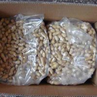 packaging_solution_for_bulk_groundnuts