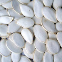 Snow_White_Pumpkin_Seeds[1]