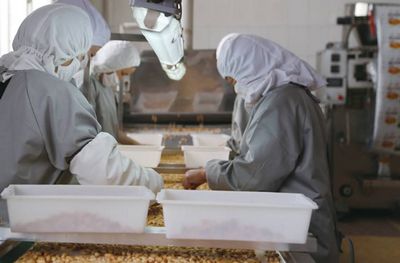 Завод по производству арахиса, продаем, производим, лучшие цены