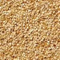 Hulled-Sesame-Seeds[1]