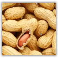 peanut