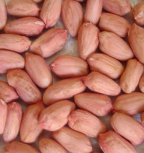 Арахис длинной формы. Купить арахис из Китая