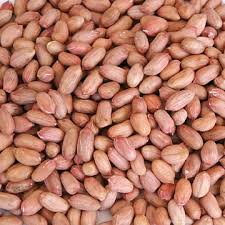 поставка арахиса из Индии