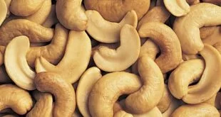 цена орехи кешью мозамбик
