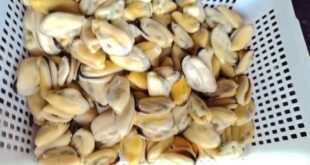 Прайс-на-мороженные-морепродукты-в-ассортименте-из-КНР