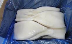 Прайс-лист-на-мороженный-кальмар-и-морепродукты