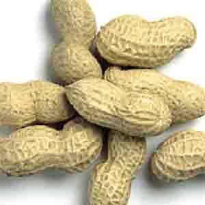 арахис не содержит холестерина, а это очень важно для тех, кто заботится о здоровом питании